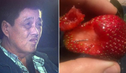 Vụ kim khâu trong dâu tây: Tòa kịch liệt phản đối đơn bảo lãnh vì lo ngại nghi phạm gốc Việt bị trả thù