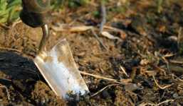 Cặp vợ chồng đào được 6 thỏi vàng trong vườn, 4 năm sau lại đào được vài chục thỏi nữa