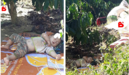 Hình ảnh cậu bé bụ bẫm nằm ngủ dưới gốc cây cà phê khi theo bố mẹ lên rẫy 'đốn tim' cộng đồng mạng vì quá sức dễ thương