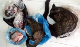 Nữ Phó Chủ tịch Mặt trận xã rao bán động vật hoang dã trên facebook