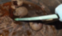 Hơn 30.000 người ký tên muốn uống chất lỏng trong quan tài Ai Cập 2.000 năm