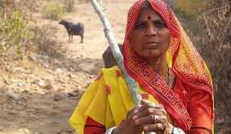 Ra cánh đồng gần nhà đi tiểu, người phụ nữ chết oan uổng vì con vật ai cũng không để ý