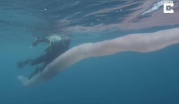 Clip: Sinh vật bí ẩn dài 8m dưới biển sâu khiến thợ lặn choáng váng