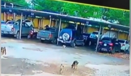 Chú chó bị cán chết ở bãi đỗ xe, chủ nhân đăng đàn tố cáo gây tranh cãi lớn trên MXH