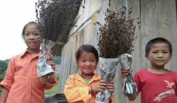 Giáo viên mừng phát khóc khi học trò mang hoa dại, rau cải, chuối tặng ngày 20/11