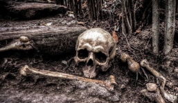 Khoa học làm sao để biết được giới tính của một cái đầu lâu? Đây hóa ra là câu hỏi quan trọng hơn bạn tưởng