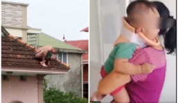 Bé trai bị bố ném từ tầng cao xuống đất bị rạn xương cổ, òa khóc khi thấy người lạ