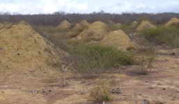 Bí ẩn những gò mối nghìn năm ở Brazil, đào lượng đất xấp xỉ 4.000 kim tự tháp Giza