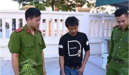 Thanh Hóa: Thanh niên nghiện ma túy trồng cần sa vào chậu cảnh ngay tại nhà mình