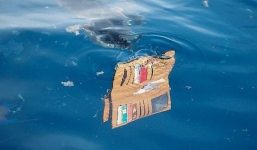 Hộp đen hé lộ điều bất ngờ vụ máy bay Indonesia rơi xuống biển khiến 189 người mất tích