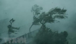 Cập nhật Bão số 9: Đang mưa lớn tại đảo Phú Quý, Vũng Tàu xuất hiện sóng cao 3m