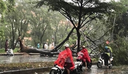 Bão số 9 đổ bộ: TP.Hồ Chí Minh mưa như trút nước, cây đổ đè chết người đi đường