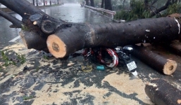 TP.HCM ngập nhiều nơi, một người chết vì cây xanh đổ đè trúng