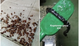 Ngập lụt ở TP.HCM và nỗi ám ảnh 'những vị khách không mời' ghé thăm nhà