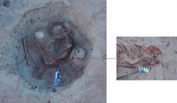 Phát hiện sự thật của bộ hài cốt 3.700 năm: Trước khi chết, bị cơn đau khủng khiếp hành hạ