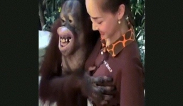 Sàm sỡ nữ nhân viên vườn thú, đười ươi thích thú 'cười hớn hở'