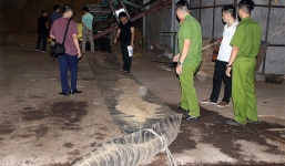 Nam công nhân chết bất thường, đầu biến dạng