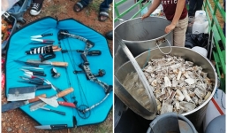 Cảnh sát Nam Phi bắt 6 người Việt tham gia giết 40 con sư tử