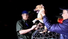 Hà Nội: Người đàn ông buồn rầu khi con chó của gia đình bị đội bắt chó thả rông cho vào lồng sắt, đưa về trụ sở phường