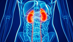 Ung thư thận: không can thiệp sớm thì chỉ sống được khoảng 1 năm và đây là 3 dấu hiệu nhận biết điển hình