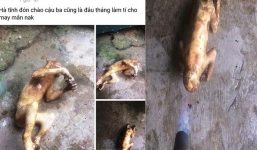 Thêm một nam thanh niên ở Hà Tĩnh khoe ảnh giết khỉ trên Facebook gây bức xúc