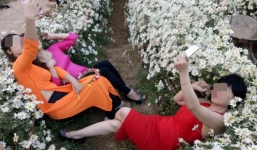 3 chị gái mặc áo dài nằm ngả ngớn lên hoa cúc họa mi chụp ảnh khiến MXH bất bình