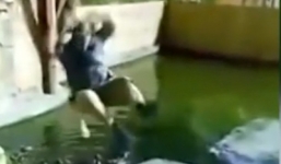 Kinh hãi cảnh người đàn ông tuột tay rơi xuống bể đầy cá sấu đói khát