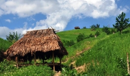 Thanh Hóa: Chủ tịch hội nông dân xã chết treo cổ trong chòi canh