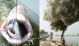 Những hình ảnh chưa hề có sự can thiệp của photoshop nhưng khiến bạn ngỡ ngàng, tưởng thế giới này đảo điên hết rồi