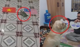 Chó, rùa trổ tài tiên tri kết quả trận chung kết lượt đi của đội tuyển Việt Nam và Malaysia
