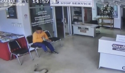 Rắn trườn vào đồn cảnh sát định cắn người và cái kết bất ngờ