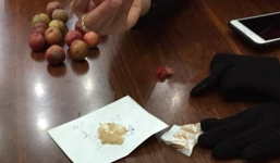 Chàng trai than thở mua 2kg mận của người quen với giá 360k, dân mạng lại xôn xao vì một điểm cực vô lý