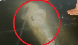 Vật thể khủng xuất hiện dưới băng, người dân tìm cách lôi lên bằng được