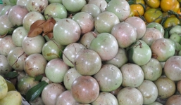 Trái vú sữa Việt tại Mỹ có giá 350.000 đồng/kg