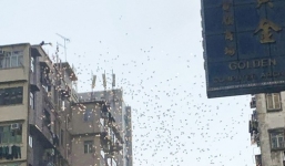 Người dân kinh ngạc chứng kiến tiền bay tung tóe ngoài đường