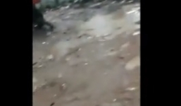 Chuyện lạ: Cơn mưa trút hàng trăm con cá xuống thị trấn