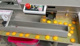 Máy tách lòng đỏ với lòng trắng trứng không tì vết, có thể tách 1.800 quả/1h