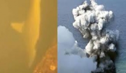 Video: Cận cảnh cá mập đột biến có thể sống trong miệng núi lửa phun trào