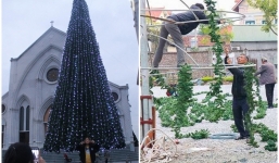 Giới trẻ trầm trồ chiêm ngưỡng cây thông Noel khổng lồ cao 12 mét đẹp lung linh tại Hà Nội