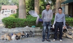 Vĩnh Phúc: Hình sự mật phục bắt quả tang đối tượng trộm hàng chục con mèo đem bán
