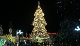 Chiêm ngưỡng cây thông noel đậm chất Việt: Cao 20m, tạo bởi 1200 chiếc nón lá