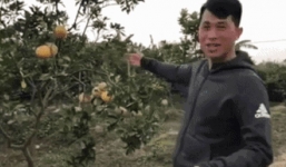 Đình Trọng bất ngờ nghỉ làm cầu thủ, tuyên bố chuyển nghề quảng cáo bán bưởi