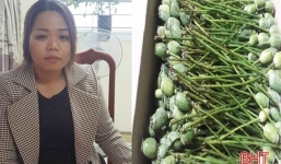 Nữ 9X tàng trữ 12kg quả thuốc phiện tươi sa lưới