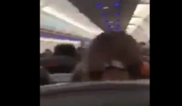 Clip: Em bé khóc thét khi máy bay VietJet Air gặp sự cố
