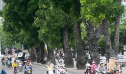 Hà Nội xén vỉa hè để mở rộng đường, hơn 400 cây xanh trên đường Láng bị thay thế 