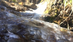 Nhiệt độ giảm xuống dưới 0 độ, nước suối đóng thành băng trên đỉnh Fansipan