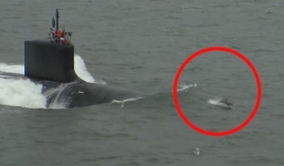 Cảnh tượng hiếm gặp: Cá heo đua tốc độ với tàu ngầm Mỹ