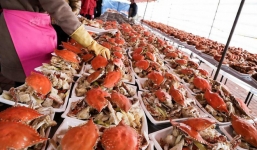 Cỗ cưới ở nông thôn: Phục vụ bào ngư, hải sâm, cá hồi cho 1.500 người