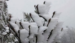 Bắc Bộ sẽ tiếp tục đón thêm 3-5 đợt rét đậm, rét hại trong tháng 1/2019