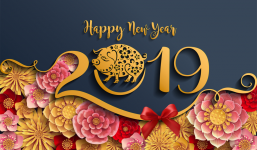 Top hình ảnh Chúc mừng năm mới 2019, Xuân Kỷ Hợi đẹp nhất